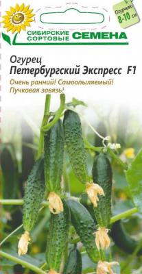 Петербургский Экспресс F1 огурец  5шт (ссс) Р парт 