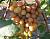 Августовский виноград, сверхранний, цвет ягод зеленовато-белый.