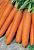 Форто морковь весовые
