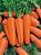 Московская зимняяя А-515 морковь весовые