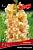 Майя Плисецкая гладиолус палево-оранжевый цветок с персиковым оттенком 5шт (12/+)