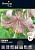 Ланкон лилия белая в роз.крап.2шт (14/16) ((110см)