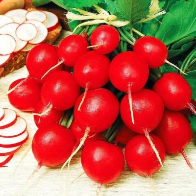 Илке редис весовые