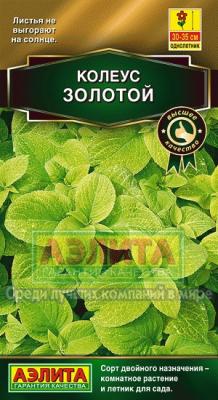 Золотой блюме колеус 5шт (а)