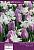 Тюльпаны & Нарциссы 02 10шт (11/12) (55-60см)
